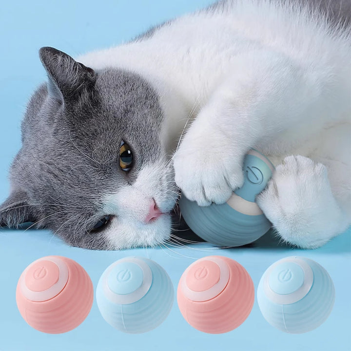 Smart Cat Ball Toys