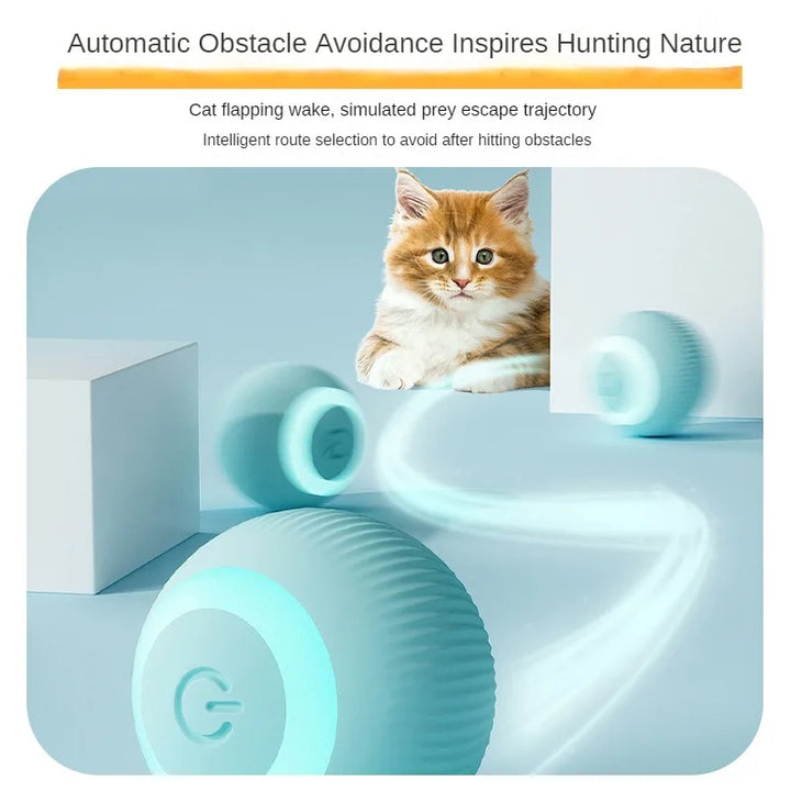 Smart Cat Ball Toys